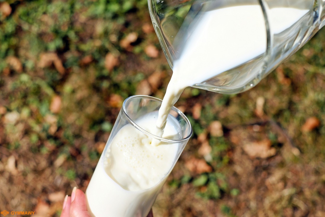 فوائد تناول الحليب خلال شهر رمضان