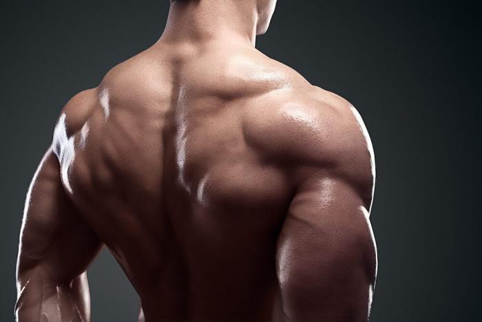 هل بناء العضلات يزيد الوزن