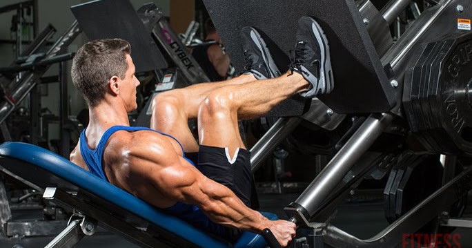 ما اهمية عضلة الرجل لتضخيم باقي عضلات الجسم